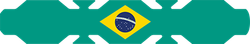 BRAZIL FLAG